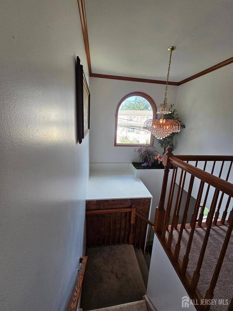Photo 11 of 4 Reade Street, Jamesburg NJ 08831, Jamesburg, NJ