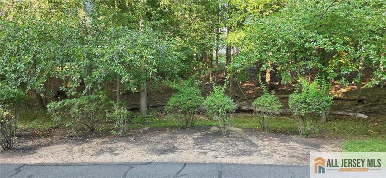 Photo 35 of 35 Forest Drive # 35, Piscataway NJ 08854, Piscataway, NJ