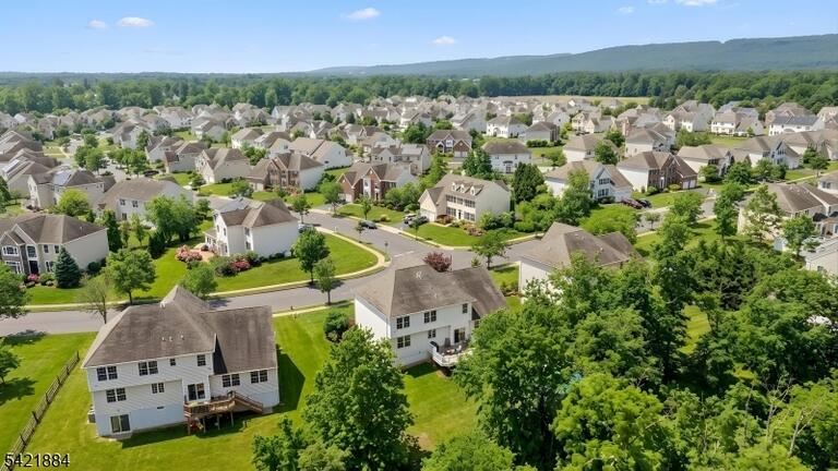 image-4018474-47.jpeg