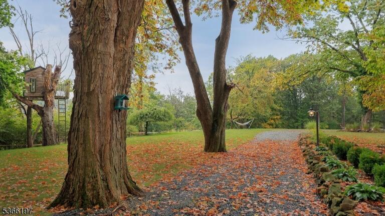 image-4018722-8.jpeg