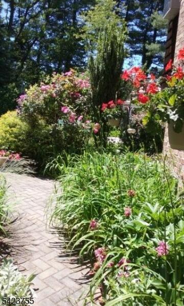 image-4020181-37.jpeg