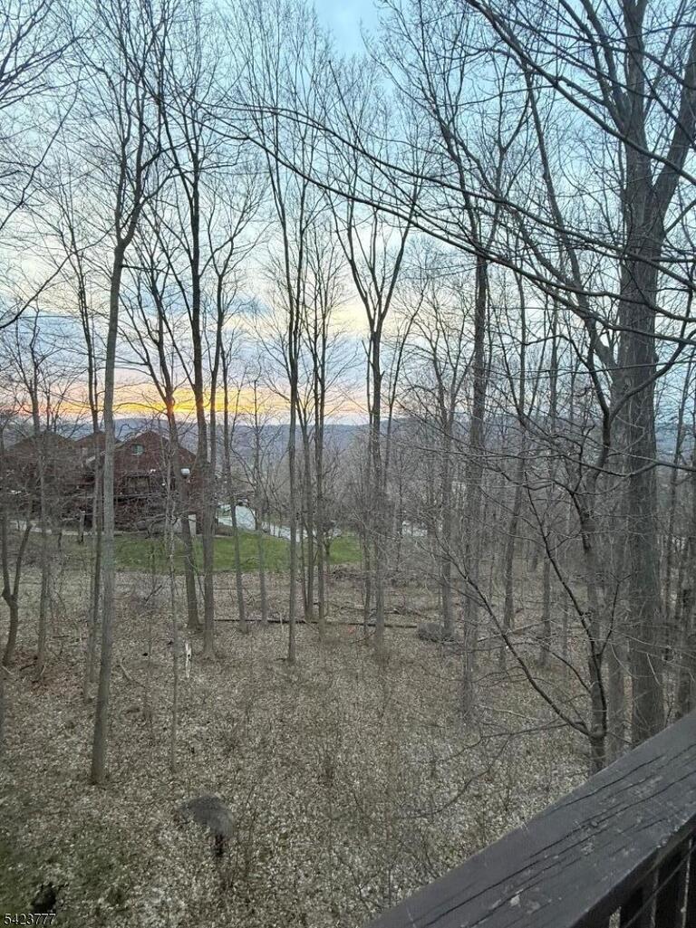 image-4020199-22.jpeg