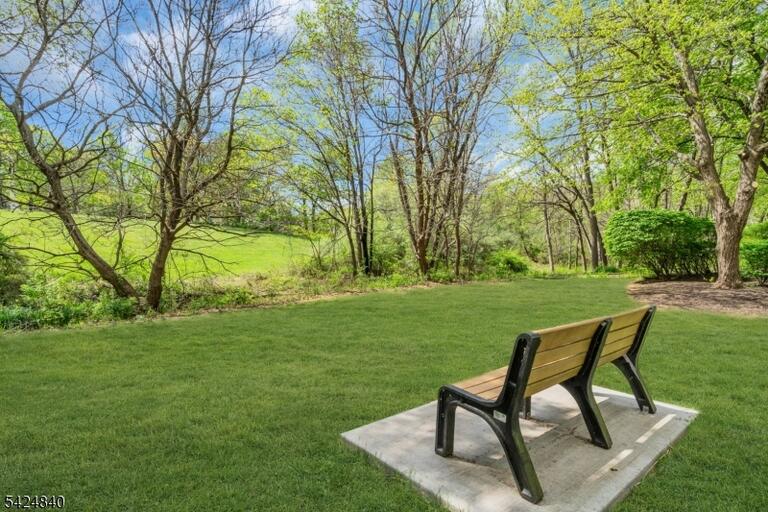 image-4022168-48.jpeg