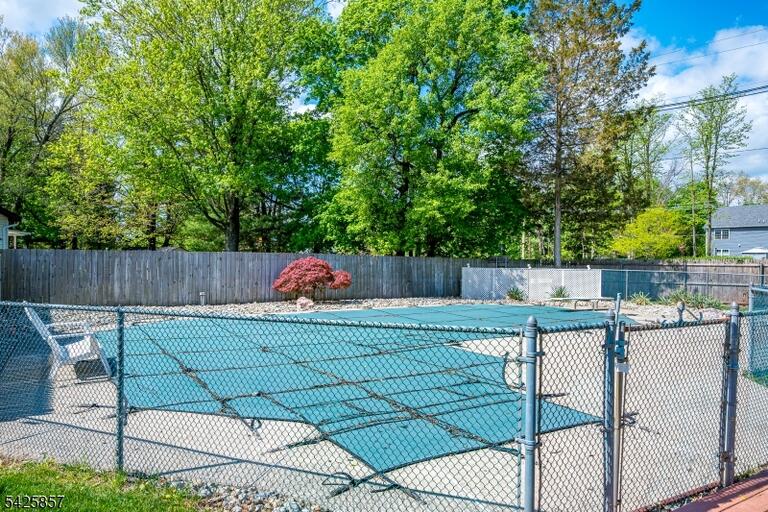 image-4022707-47.jpeg
