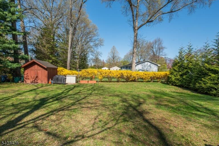image-4023401-33.jpeg