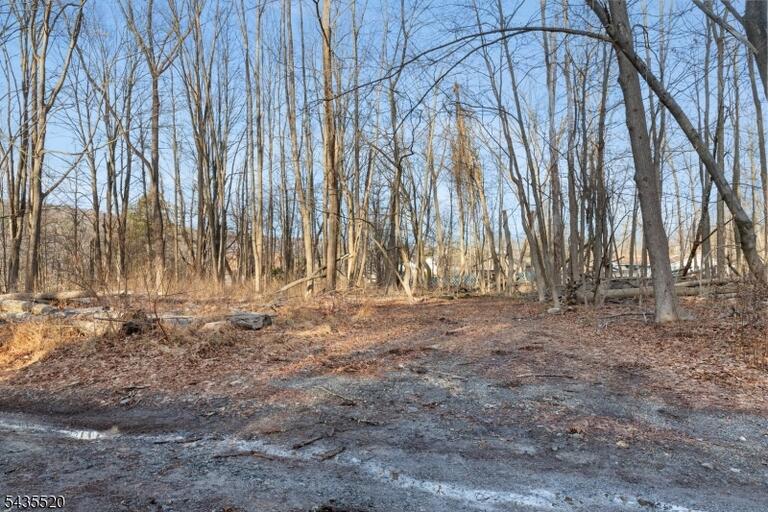 Property listing MLS 4030769 photo 3