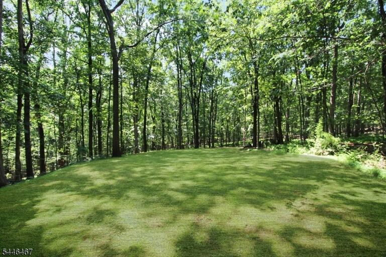 Property listing MLS 4040460 photo 44