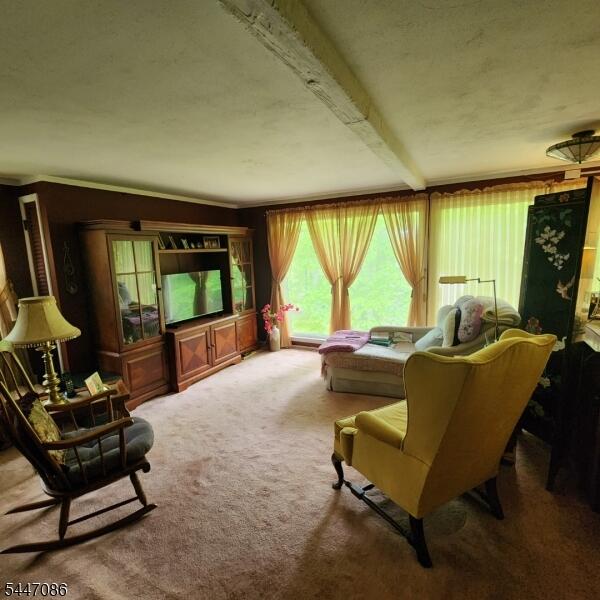 Property listing MLS 4041317 photo 12