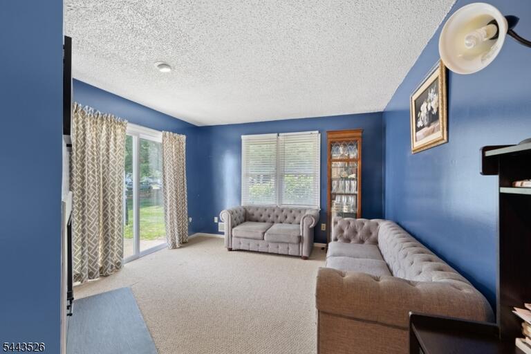 Property listing MLS 4041970 photo 17