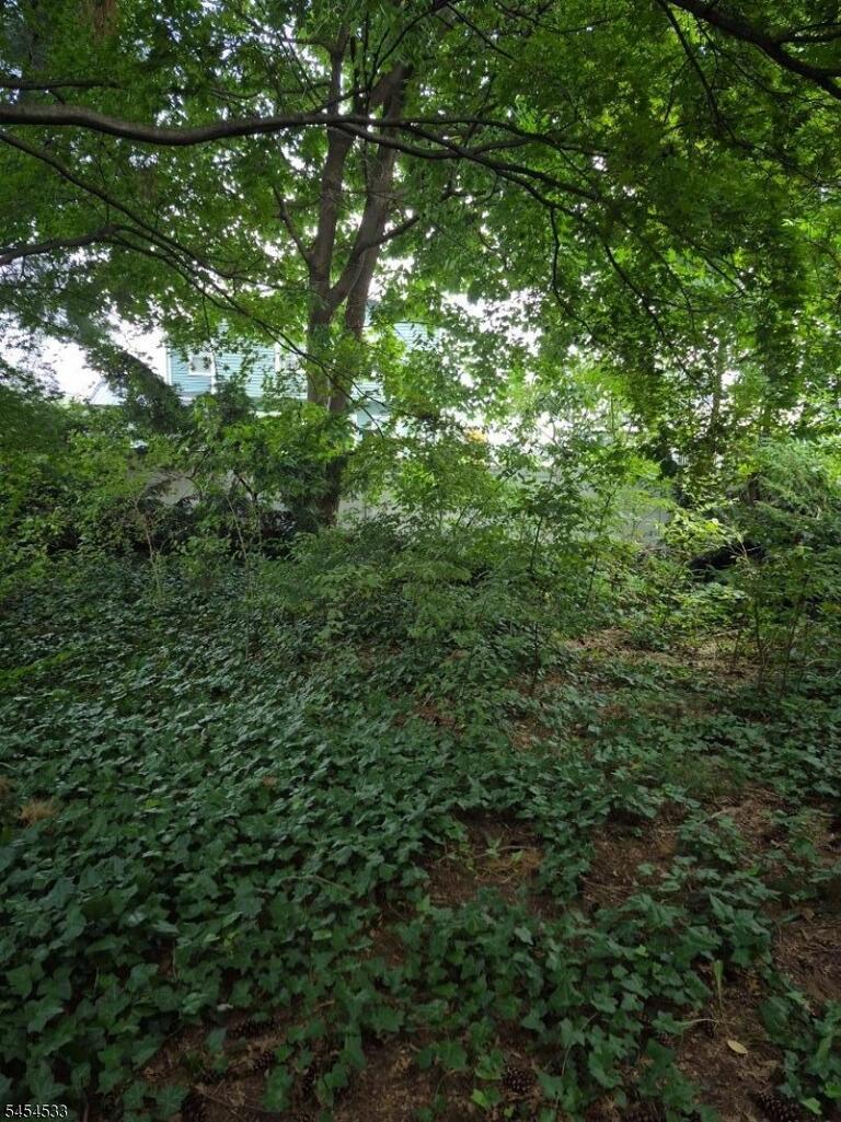Property listing MLS 4047563 photo 19