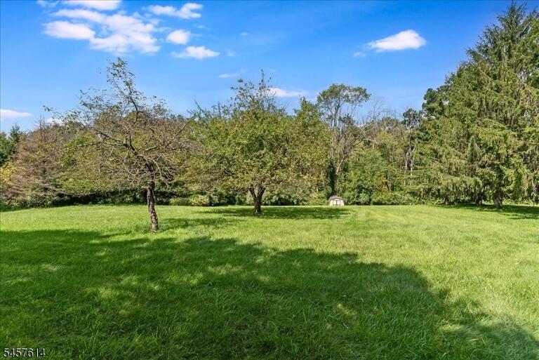 Property listing MLS 4050002 photo 41